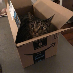 Meet your Posher, Eli